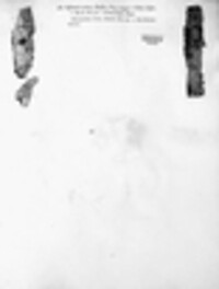 Cytospora nivea image